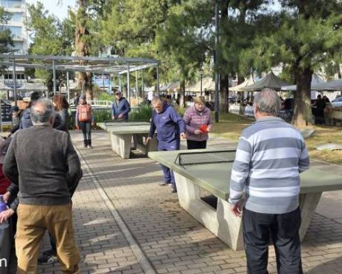 37197 3 Ping Pong venite a jugar y compartir un rato en Devoto