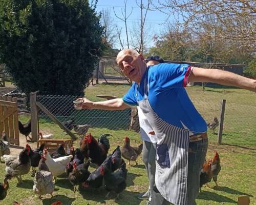 37246 1 DIA DE CAMPO EN CARLOS KEEN