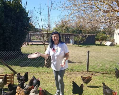 37246 4 DIA DE CAMPO EN CARLOS KEEN