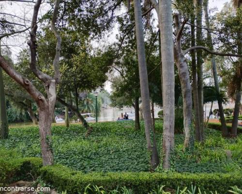 37258 10 Reabrió el patio Andaluz de la Ciudad de Buenos Aires