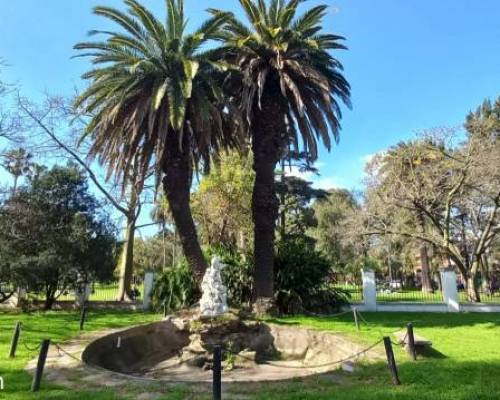 37320 6 Vení a caminar al Parque Mugica y hacete amigo!!!