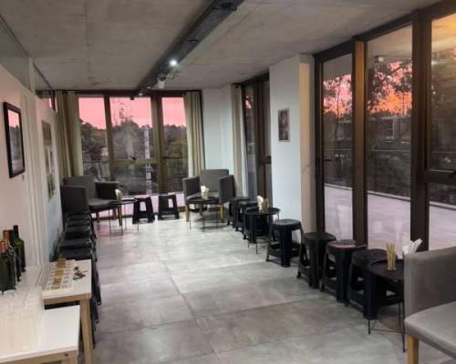 37322 3 CLINICA DE VINOS Y CATA EN PARQUE LELOIR