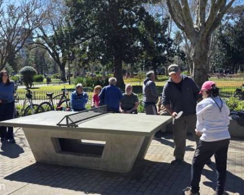 37354 1 Ping Pong venite a jugar y compartir un rato en Devoto