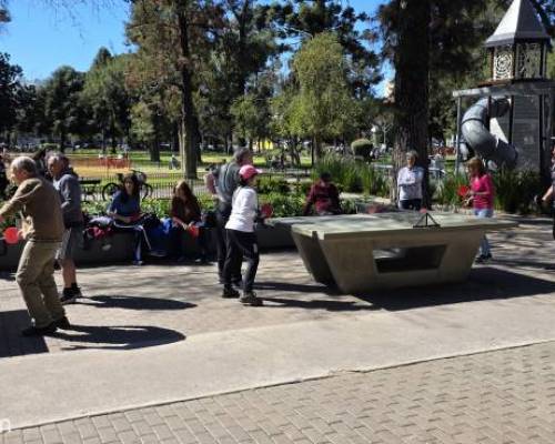 37354 3 Ping Pong venite a jugar y compartir un rato en Devoto