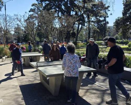 37354 8 Ping Pong venite a jugar y compartir un rato en Devoto