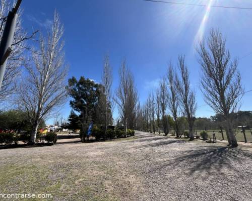 37373 14 PLANAZO...DIA DE CAMPO ENTRE HUERTAS, VIVEROS, CRIAS Y MUCHO MAS....!!