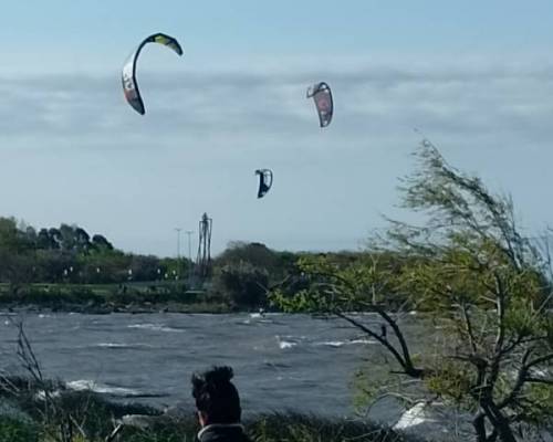 37487 14 Disfrutando los primeros rayos del sol de primavera