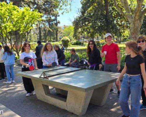37532 1 Ping Pong venite a jugar y compartir un rato en Devoto