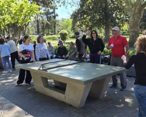37532 5 Ping Pong venite a jugar y compartir un rato en Devoto
