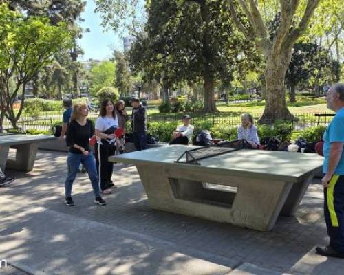 37532 9 Ping Pong venite a jugar y compartir un rato en Devoto