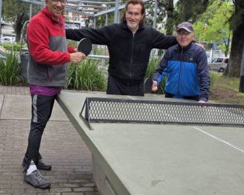37592 1 Ping Pong venite a jugar y compartir un rato en Devoto