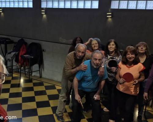 37592 3 Ping Pong venite a jugar y compartir un rato en Devoto
