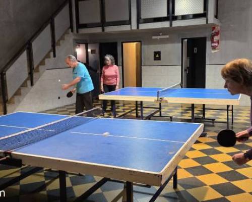 37592 5 Ping Pong venite a jugar y compartir un rato en Devoto