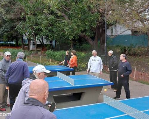 37593 4 Jugamos Ping Pong en Caballito!!