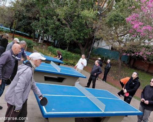 37593 5 Jugamos Ping Pong en Caballito!!