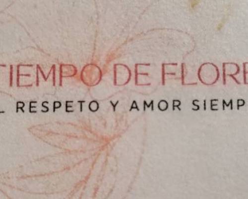 37612 1 NO TE QUEDES SOLO ESTE DOMINGO 11 de octubre
