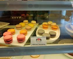 Disfrutá días divinos en Cariló.