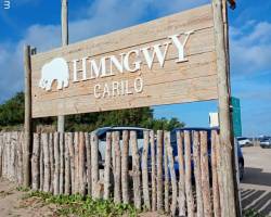 Disfrutá días divinos en Cariló.