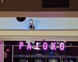 “ Vamos al BOWLING el Viernes?,....tengo ganas de jugar....