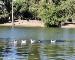 Entre Risas y Verde ,,,Caminar, Respirar, Compartir