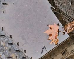 Foto / Plaza de Mayo. Un lugar mil miradas.