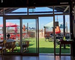  Días felices con amigos frente al mar.