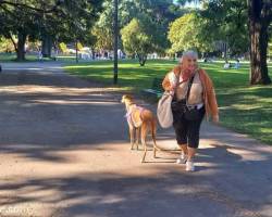 El domingo caminamos en Parque Gral Paz y Parque Mugica !!!