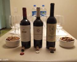 DÍA MUNDIAL DEL MALBEC: CLINICA DE VINOS Y CATA A CIEGAS