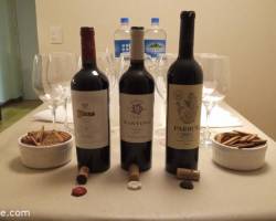 DÍA MUNDIAL DEL MALBEC: CLINICA DE VINOS Y CATA A CIEGAS