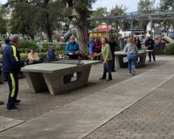Ping Pong venite a jugar y compartir un rato en Devoto