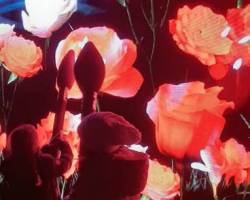 MARAVILLOSA ALICIA EN EL BOTÁNICO