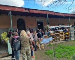 Festejamos Dia del amigo sabado 25 de Julio 2026 en  URIBLARREA