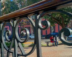 Entre el refugio verde y el ritmo Urbano .