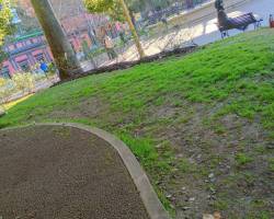 Entre el refugio verde y el ritmo Urbano .
