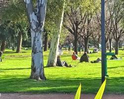 Vení a caminar al Parque Mugica y hacete amigo!!!
