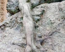 Exposición Virtual Colectiva de fotografías tomadas durante nuestras Salidas