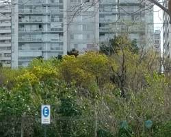 Eco Caminata con Sendero Costero 