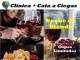 CLINICA DE VINOS Y CATA 
Te invito a disfrutar de una nueva Clínica y Cata de vinos. En ésta ocasión, te presento distintos tipos de Red Blend de excelentes bodegas, con las que descubriremos tres