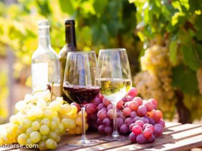 Foto Encuentros Grupales