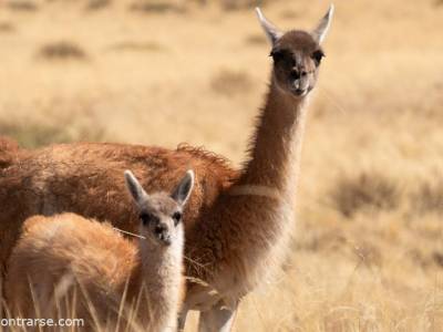 Encuentro : INVIERNO EN SALTA¡¡¡¡¡¡¡¡   ALLA VAMOS¡¡¡¡¡¡ 