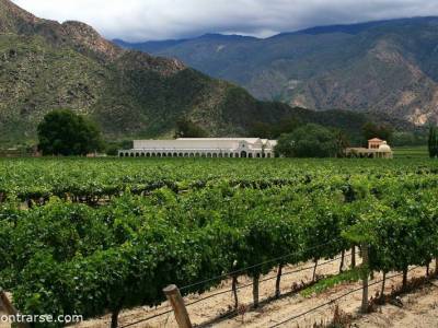 Encuentro : INVIERNO EN SALTA¡¡¡¡¡¡¡¡   ALLA VAMOS¡¡¡¡¡¡ 