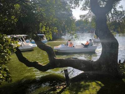 Encuentro : Rosedal , donde nuestra mirada florece. Salida Fotográfica. 