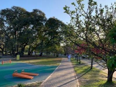 Encuentro : CAMINATA POR EL LAGO REGATAS, ES HERMOSO EN OTOÑO... 
