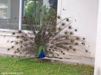 Encuentro : DIA DE CAMPO EN CARLOS KEEN 