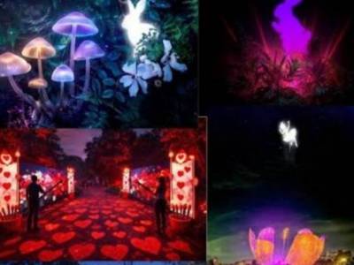 Encuentro : MARAVILLOSA ALICIA EN EL BOTÁNICO 