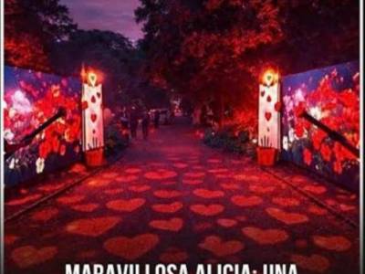 Encuentro : MARAVILLOSA ALICIA EN EL BOTÁNICO 