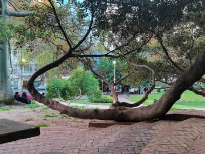 Encuentro : Entre el refugio verde y el ritmo Urbano . 