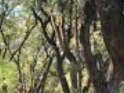 Encuentro : CAMINAMOS POR PARQUE LELOIR ITUZAINGO 