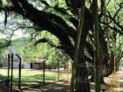 Encuentro CAMINAMOS POR PARQUE LELOIR ITUZAINGO