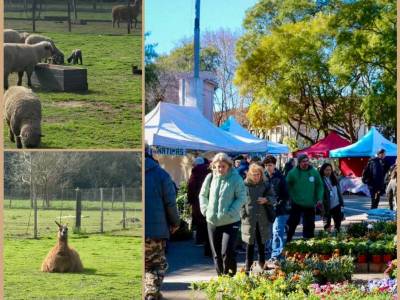 Encuentro : PLANAZO...DIA DE CAMPO ENTRE HUERTAS, VIVEROS, CRIAS Y MUCHO MAS....!! 